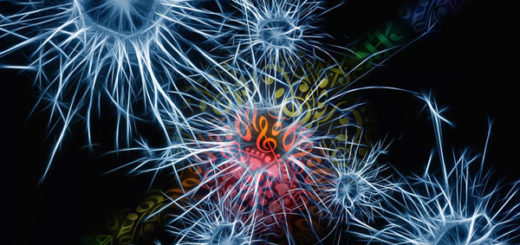 Synapse and Sound